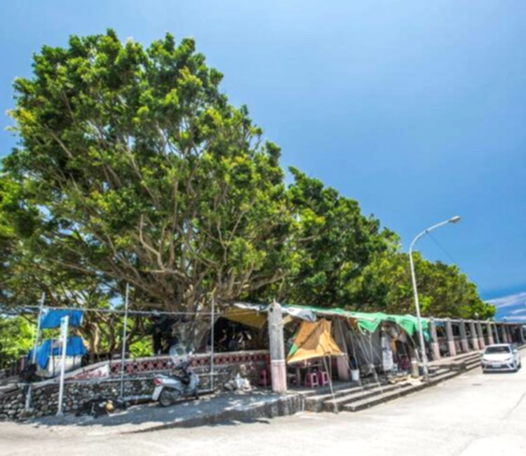 東港榕樹公園